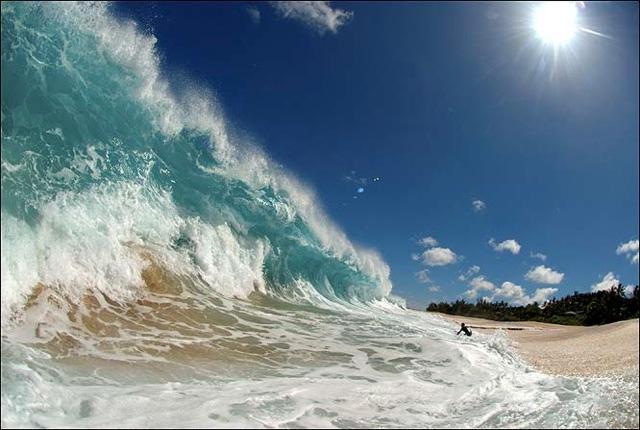 Splash - stunning shot - Clark Little/SWNS